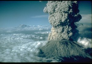 Updated Week 47 of 2013 – Gansbaai News, Specials & Events